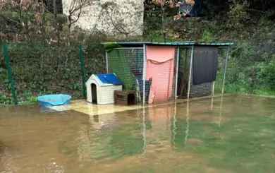 O abrigo da Adoption Dogs Portugal, localizado numa zona baixa de Leiria, ficou inundado após dias de chuva intensa | Adoption Dogs Portugal