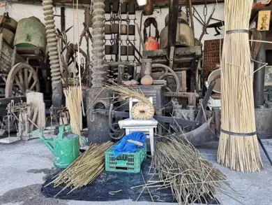 O guardião do tempo: Artur Fonseca sonha em abrir um museu rural em Santarém
