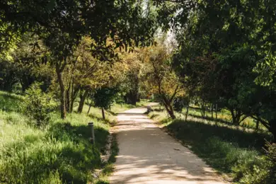 Guimarães celebra o título de Capital Verde Europeia 2026